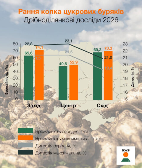 Головна 52 Врожайність цукрових буряків КВС-УКРАЇНА сягнула 74,1 т/га