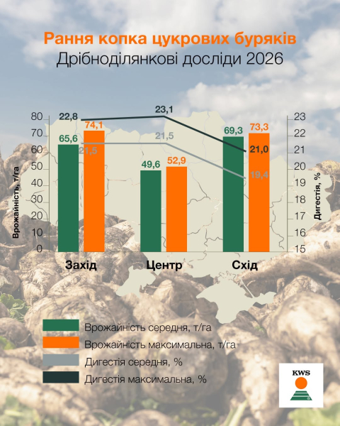 Врожайність цукрових буряків КВС-УКРАЇНА сягнула 74,1 т/га