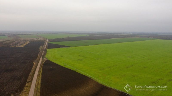 Аграрії на Сумщині змушені залишати землі під вільним прикриттям через близькість до фронту