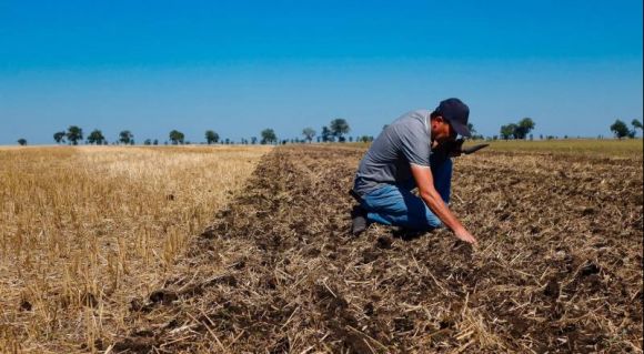 Ріпак на Одещині проростає завдяки verti-till 12 Посівна ріпаку озимого в «Агро фірмі «Південна» (Tekom Agro Group)