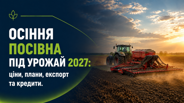 Головна 50 Фахівці дали поради щодо створення безконкурентного простору для озимого ріпаку восени
