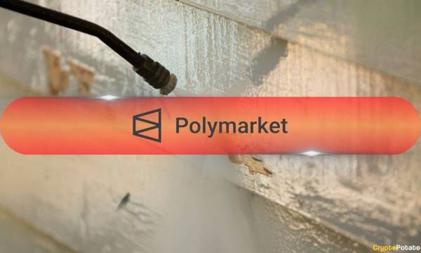 Головна 55 7 із 10 трейдерів на Polymarket втратили гроші